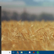 Image: Screenshot